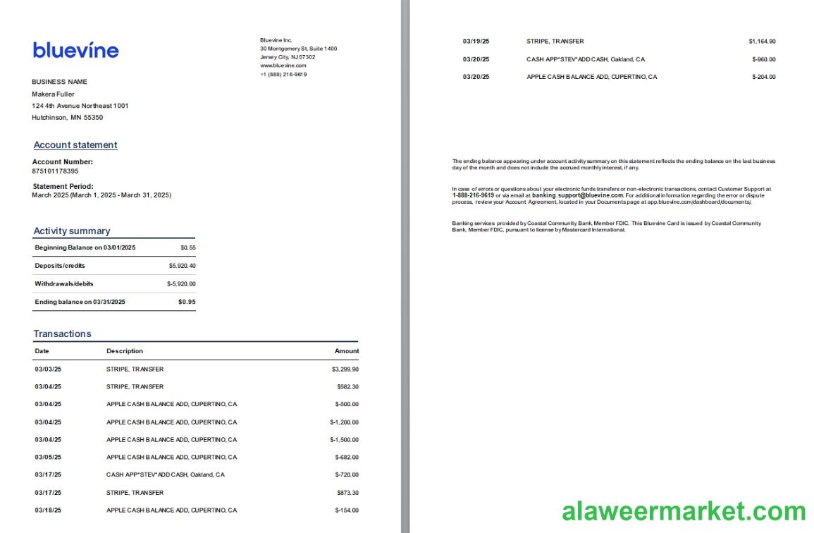 USA New Jersey Bluevine bank st, 3 pages, 1-2p